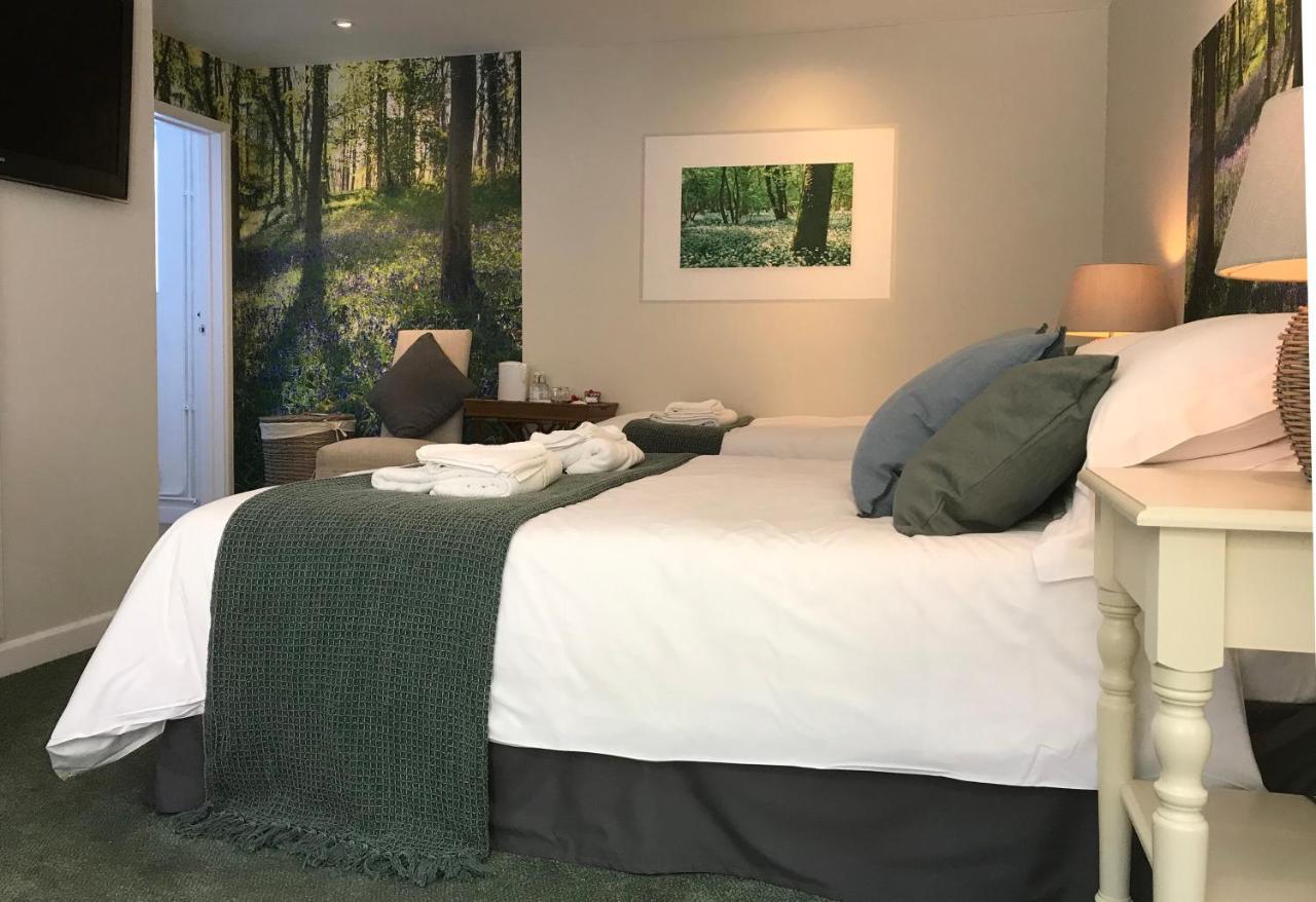 Hotel The Queen'S Head At Broad Chalke Exteriér fotografie