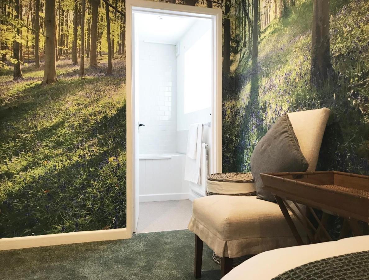 Hotel The Queen'S Head At Broad Chalke Exteriér fotografie
